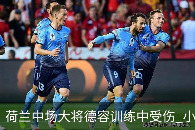 荷兰中场大将德容训练中受伤 小组赛次轮出战成疑
